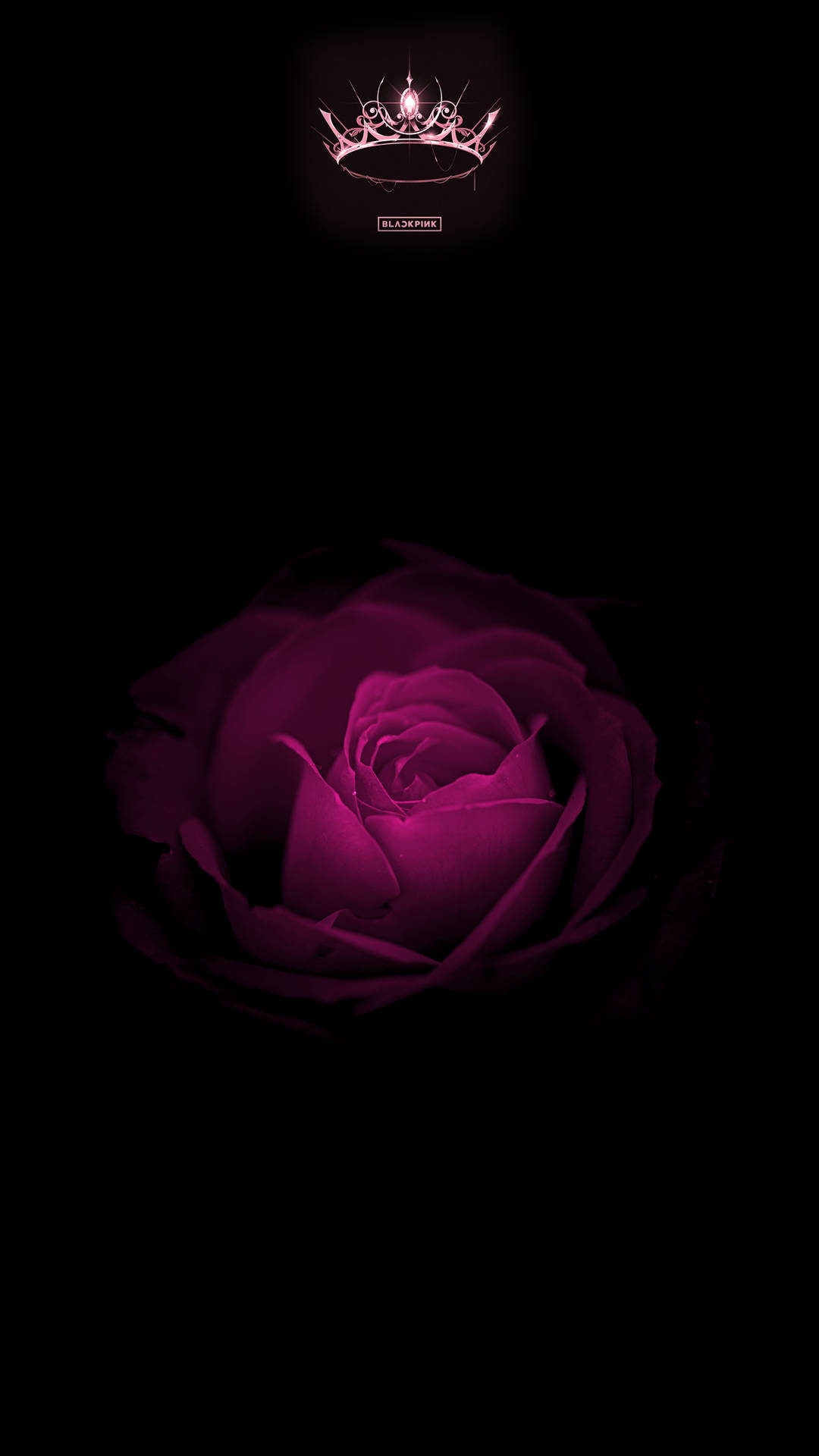 Rose Blackpink Flower With Logo Wallpaper