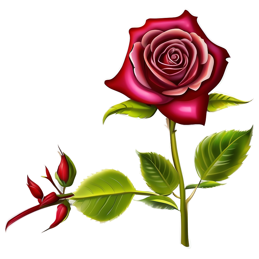 Rose Border Clipart Png 70 PNG