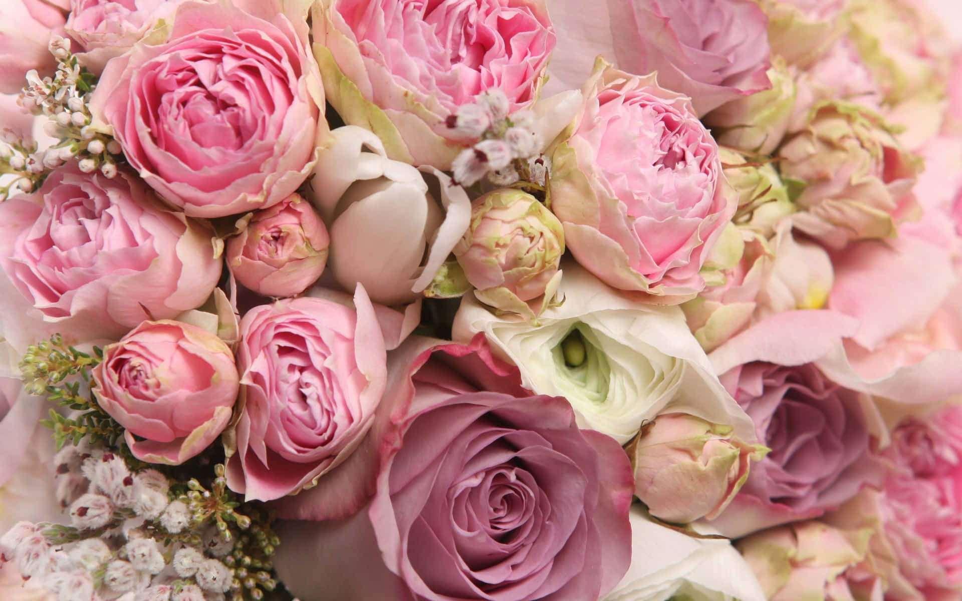 Peonies Rose Bouquet Pictures