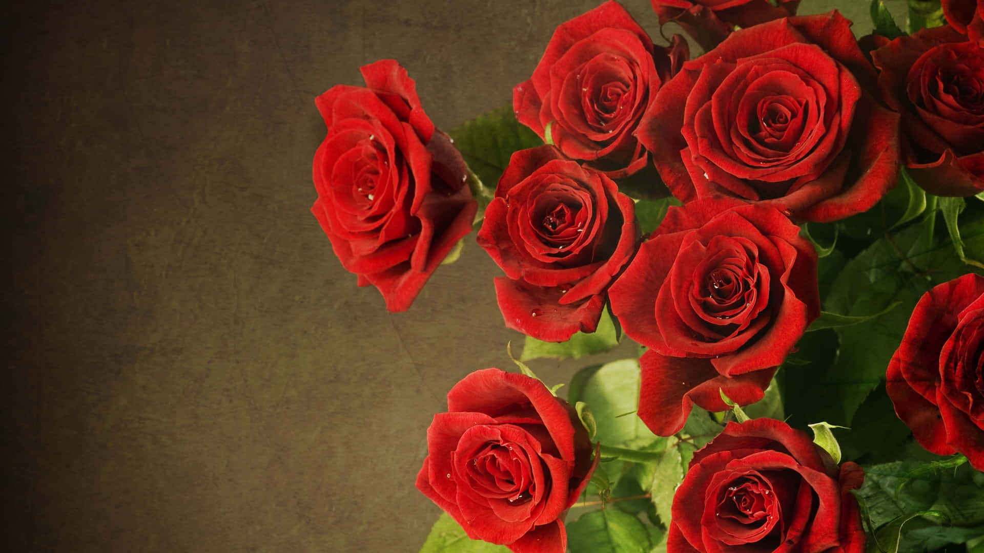 Fotoestetiche Di Un Bouquet Di Rose Rosse