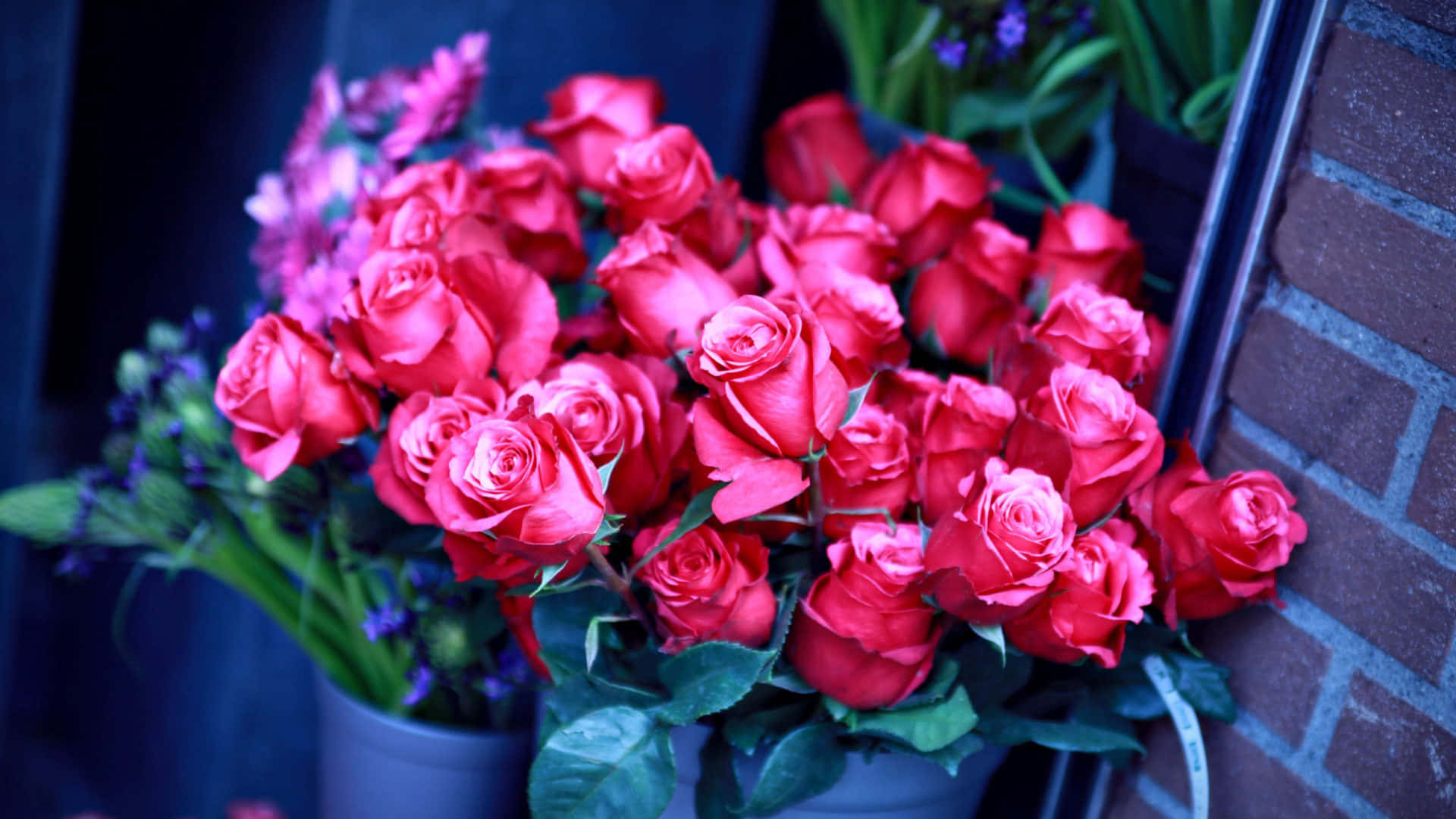 Dueimmagini Di Bouquet Di Rose