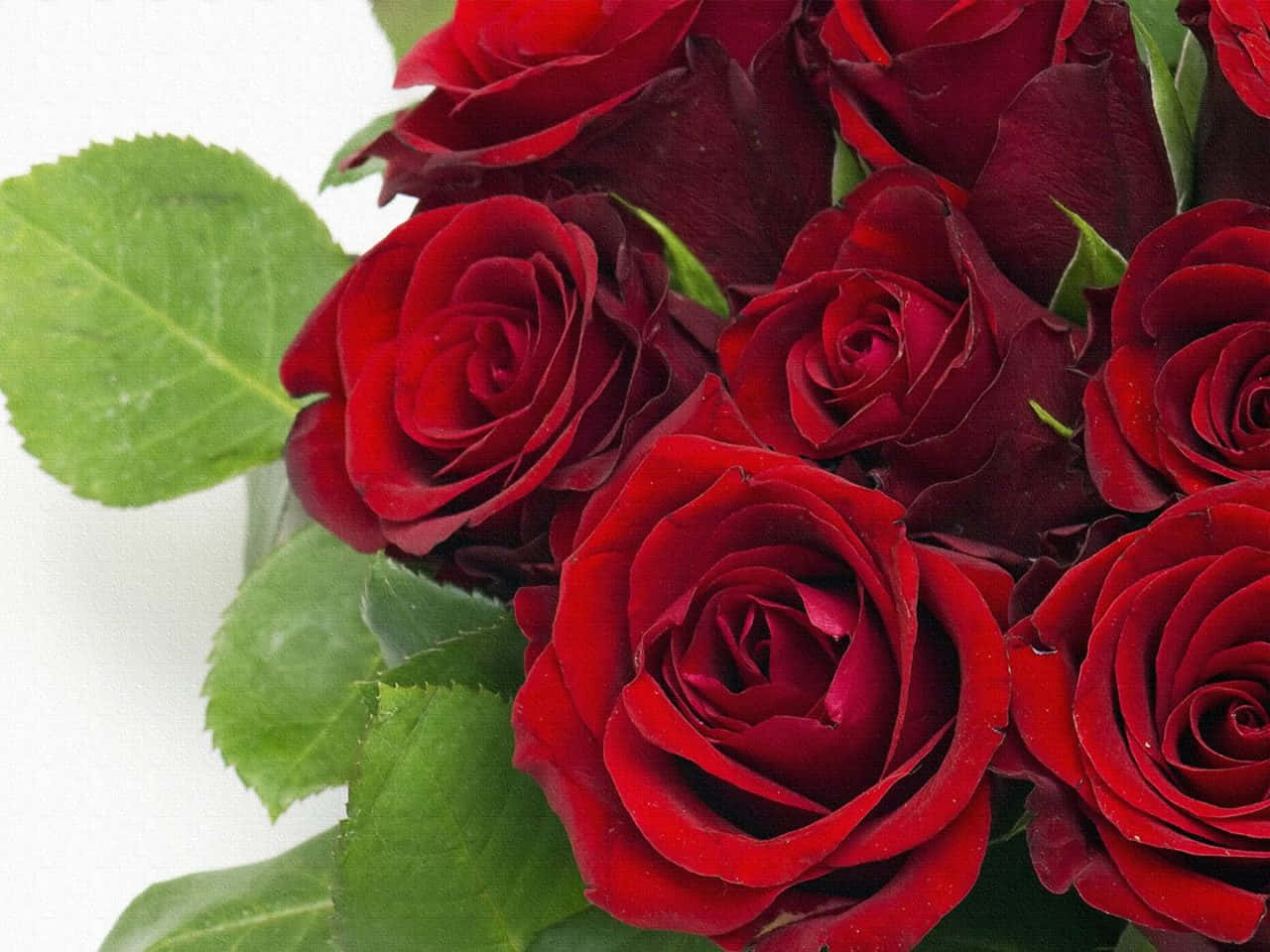 Fotoravvicinata Di Un Bouquet Di Rose Rosse