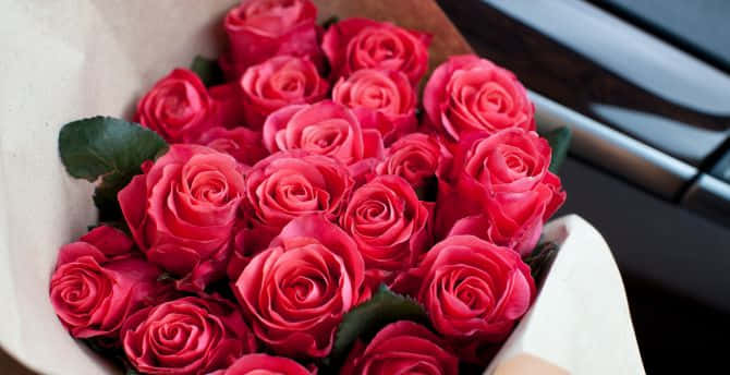Unbellissimo Bouquet Di Rose Rosa Appena Tagliate.
