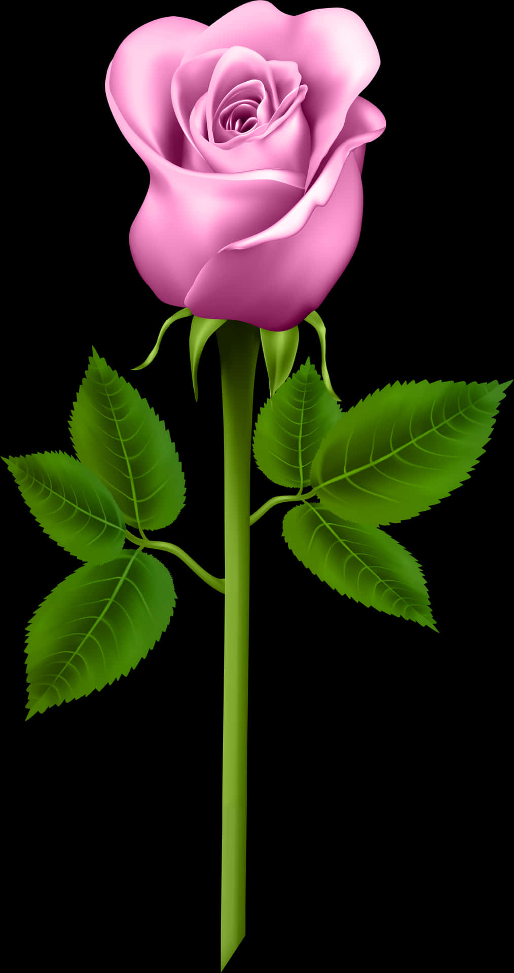 Rose Clipart, Blue Roses, Orange Roses, Flower Pictures, - Good Morning Pink Roses, Hd Png Download PNG