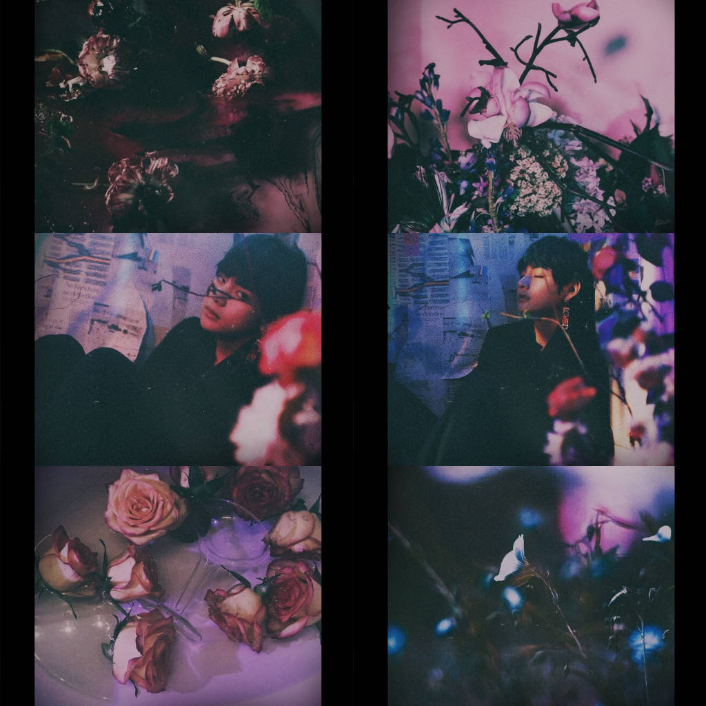 Rose Flower BTS V Phone Aesthetic Wallpaper