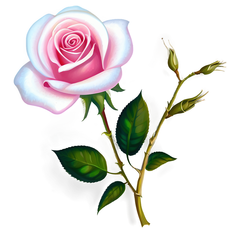 Rose Flower Transparent Png 05252024 PNG