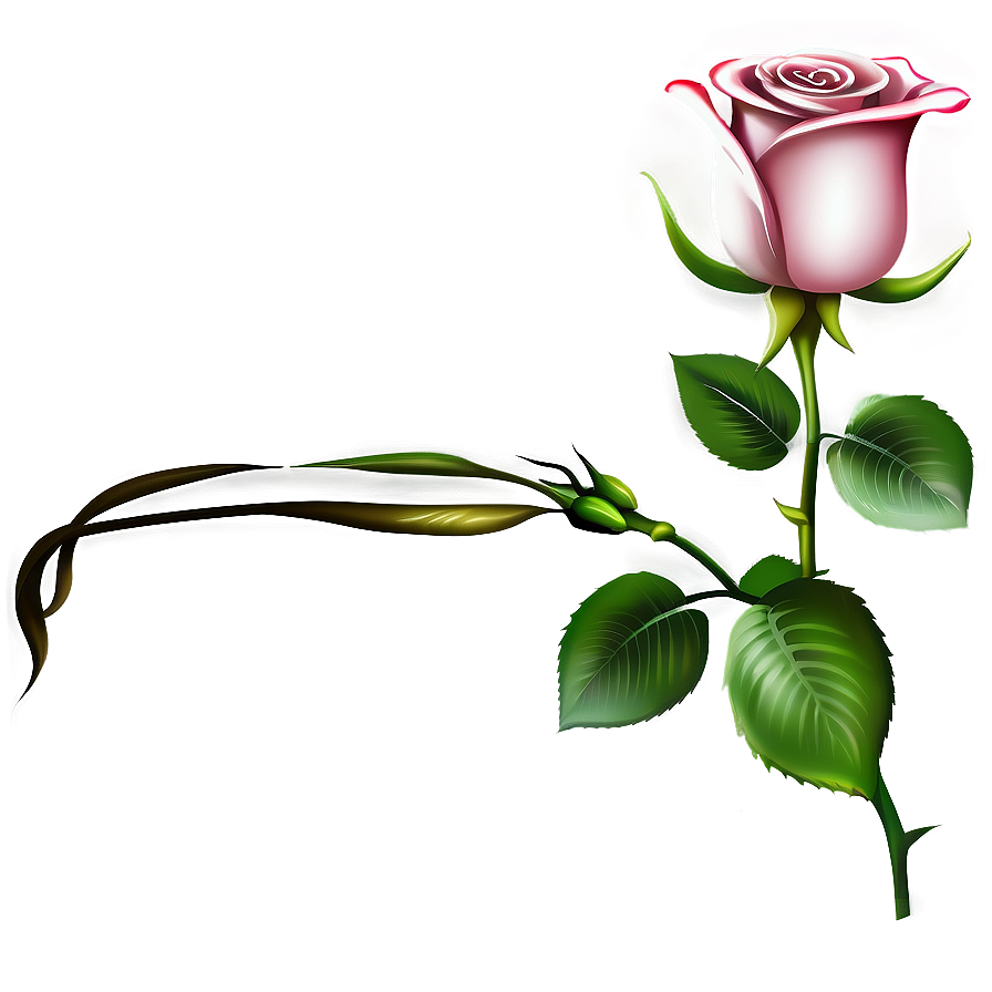 Rose Flower Transparent Png Quc PNG