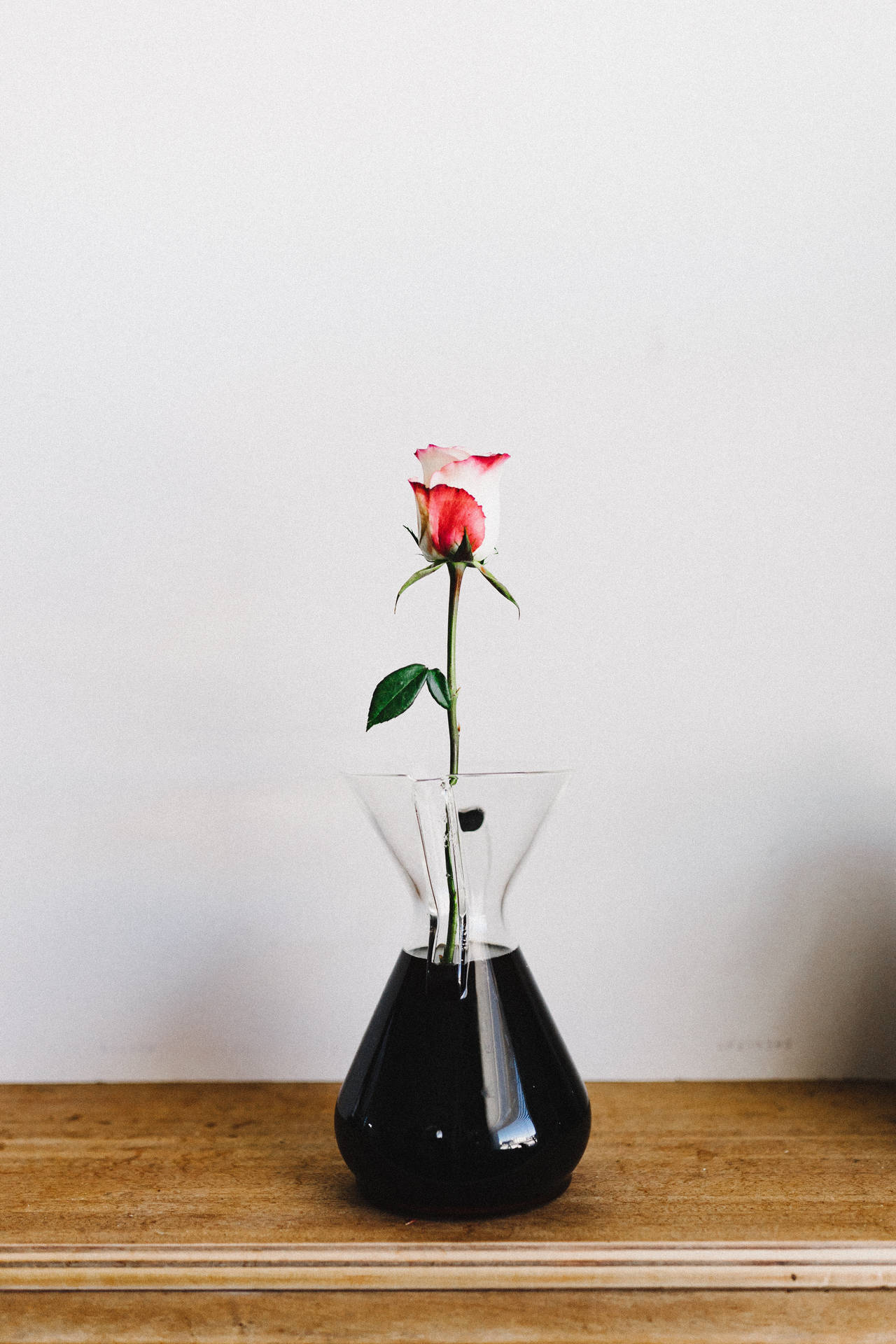 A beautiful rose blossom sitting in a classic vase. Wallpaper