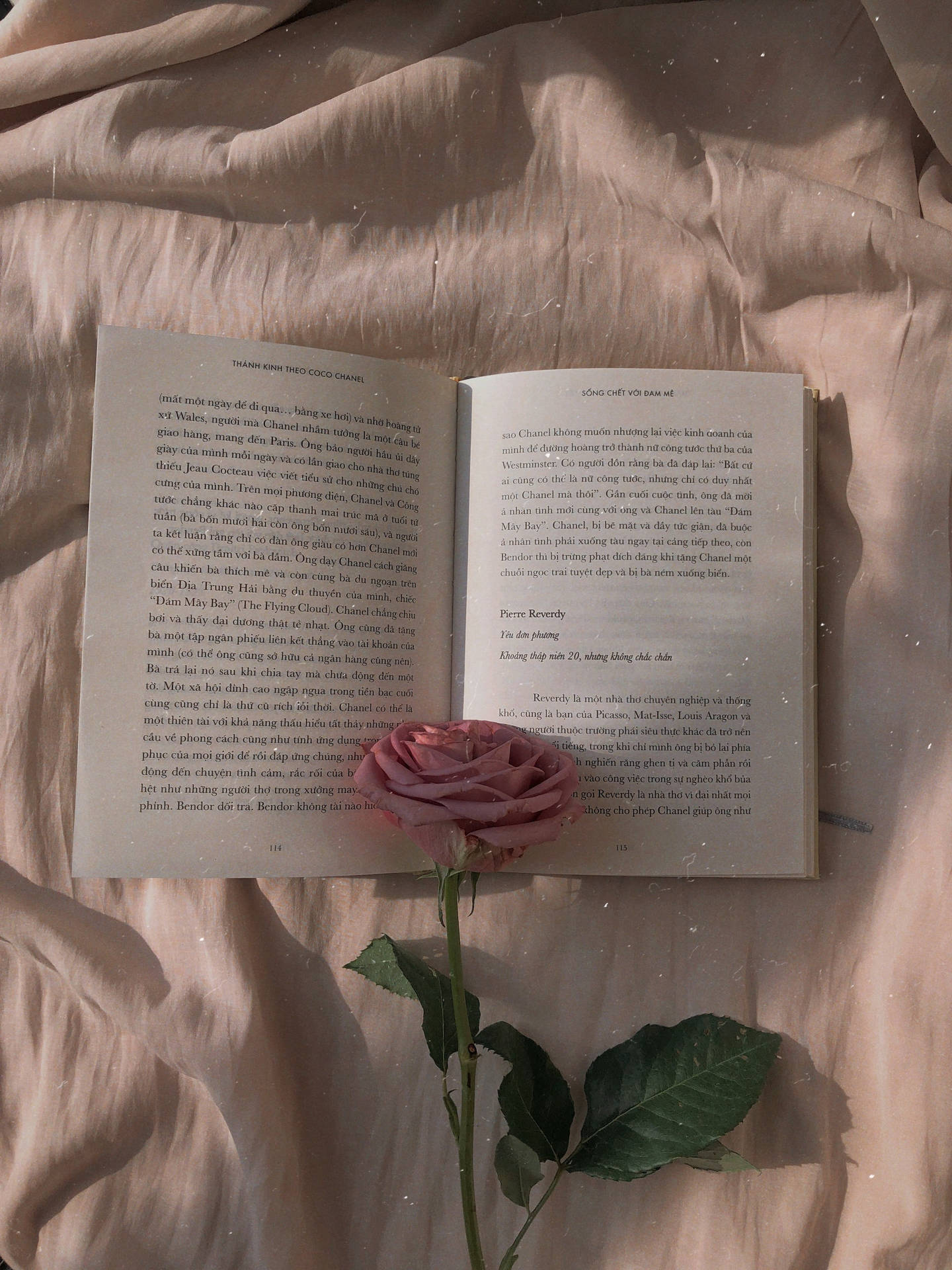 Rose Gold Aesthetic Book Picture