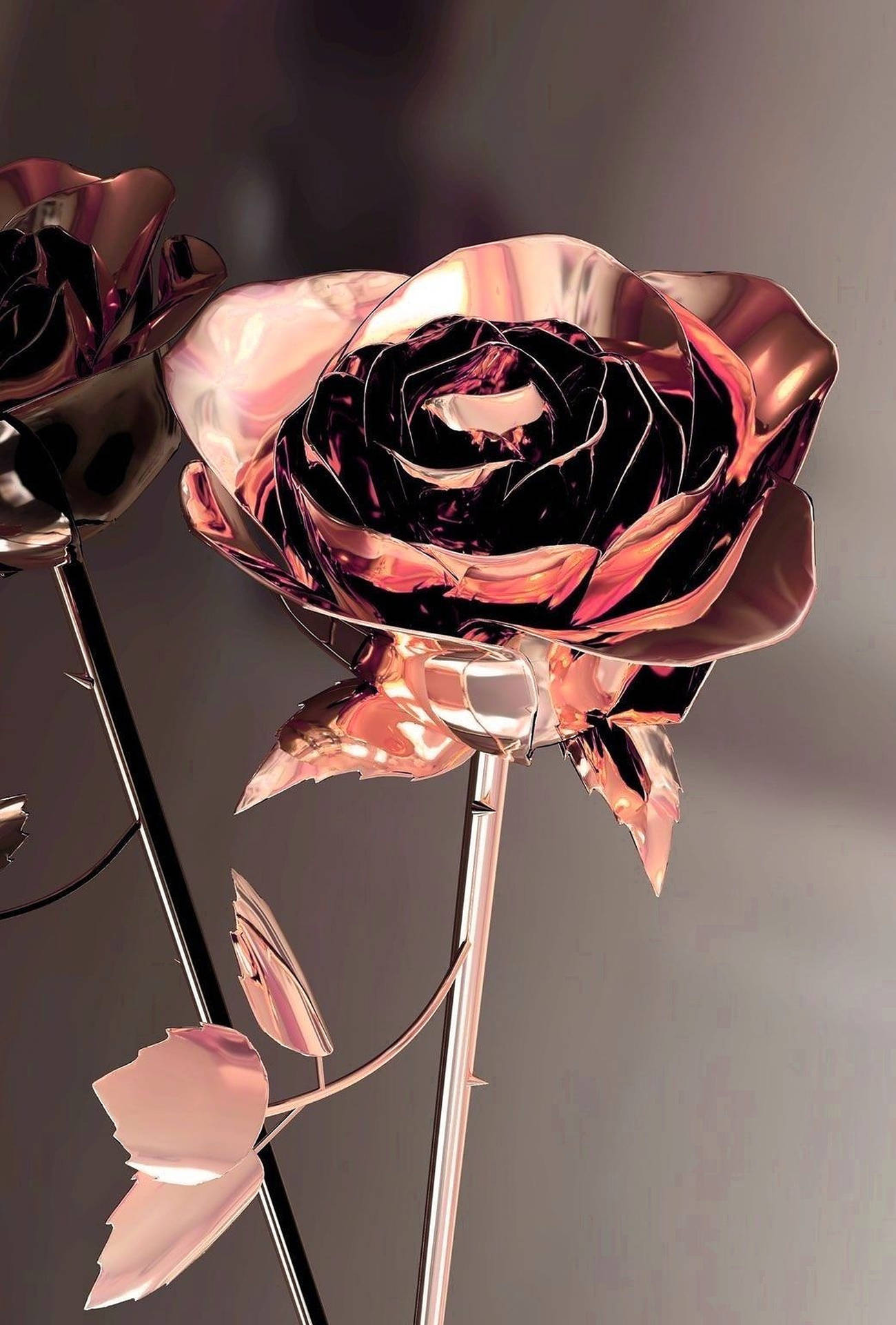 Rose Gold Aesthetic Metal Photography