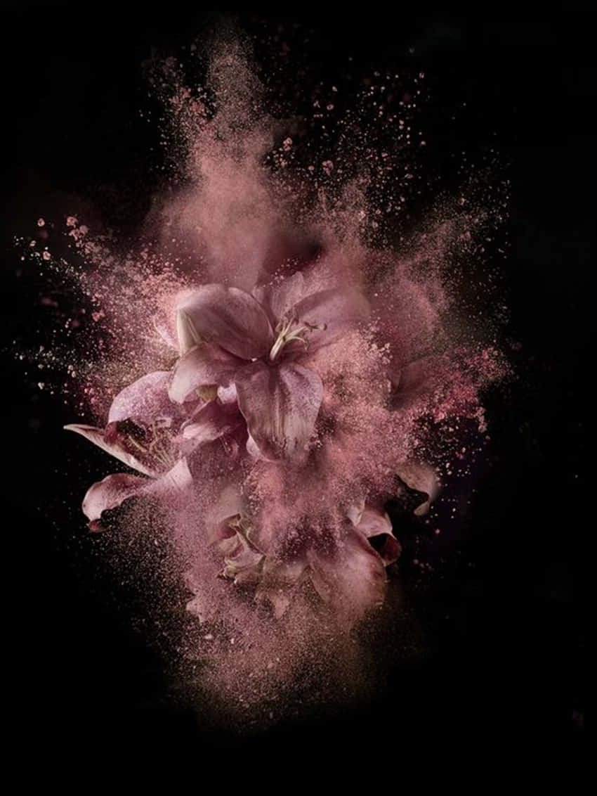 Explosiónde Polvo De Flores En Oro Rosa Y Negro Fondo de pantalla