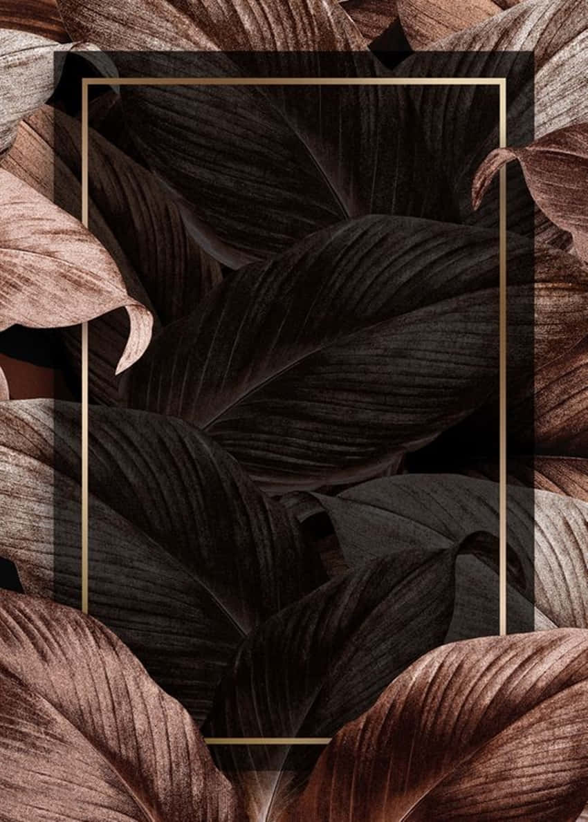 Roséguldoch Svarta Löv Wallpaper