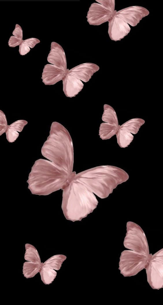 Roséguldoch Svarta Fjärilar. Wallpaper