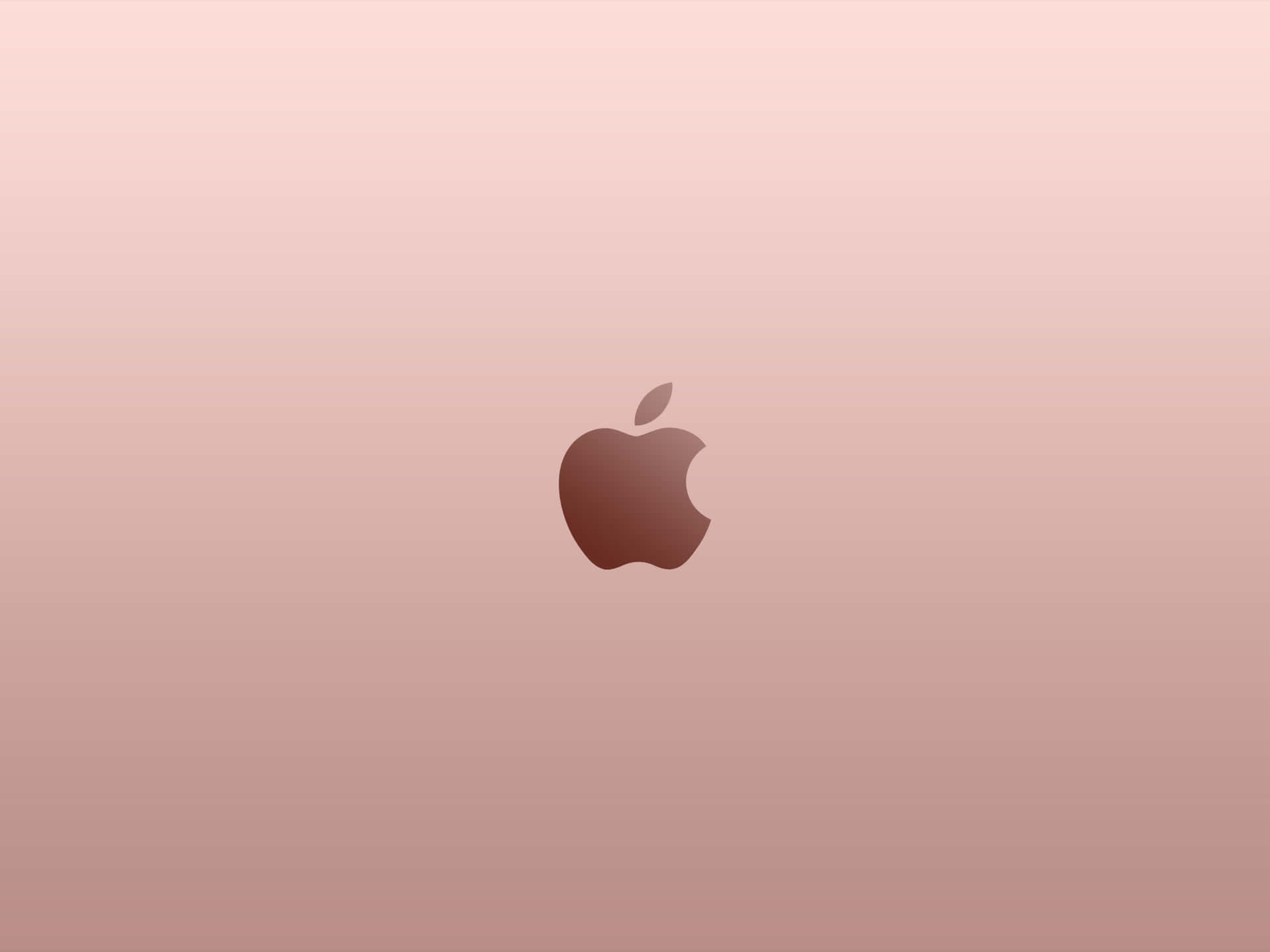 Rose Gold Apple With Dark Maroon Logo Wallpaper