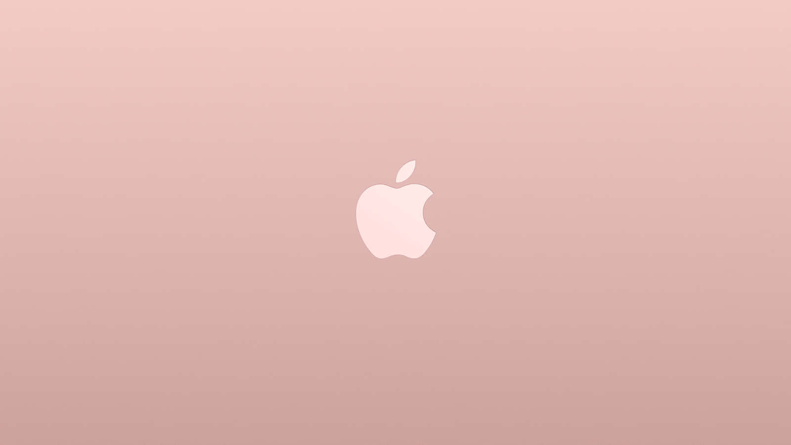 Simple Rose Gold Apple Desktop Wallpaper