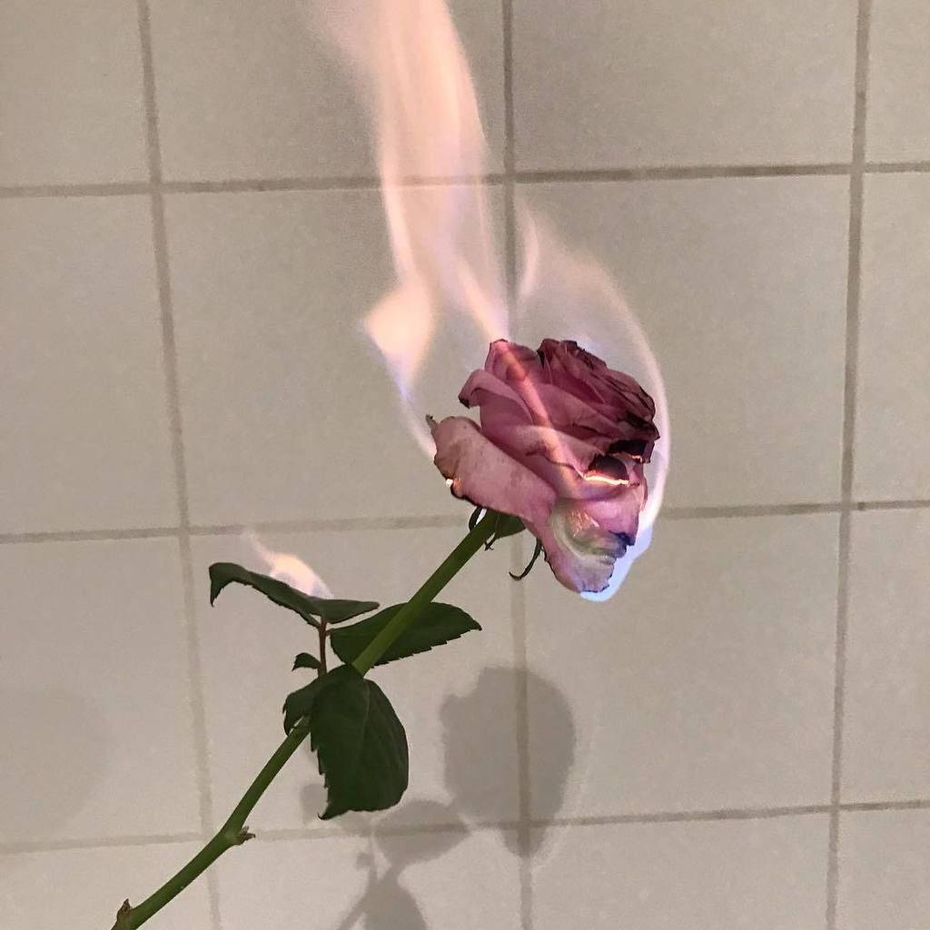 Rose Gold Burning Flame