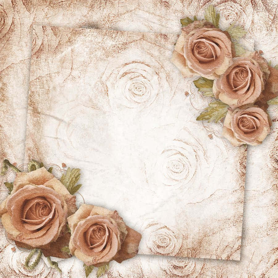 Rose Gold Color Wedding Background Invitation Wallpaper