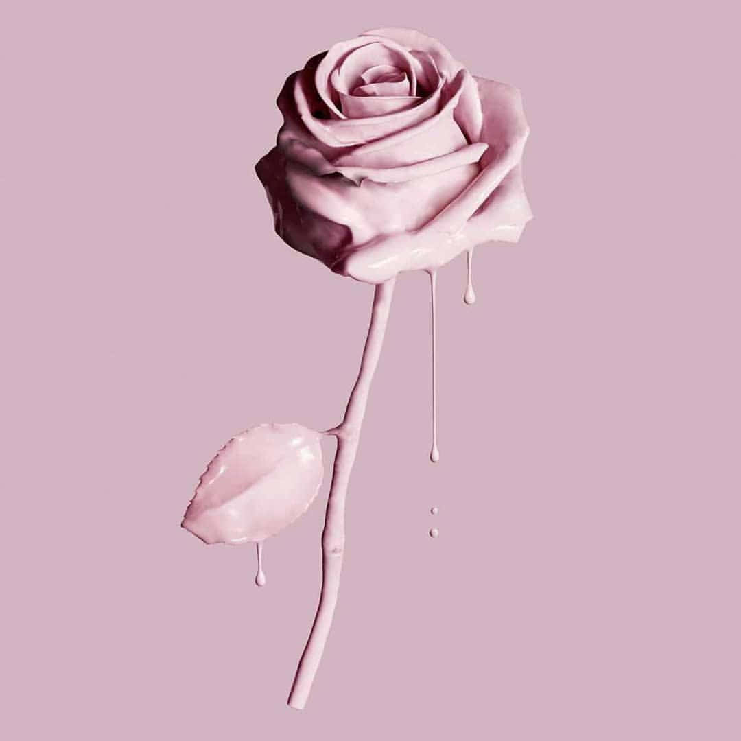Rose Gold Dripping Rose Aesthetic Wallpaper