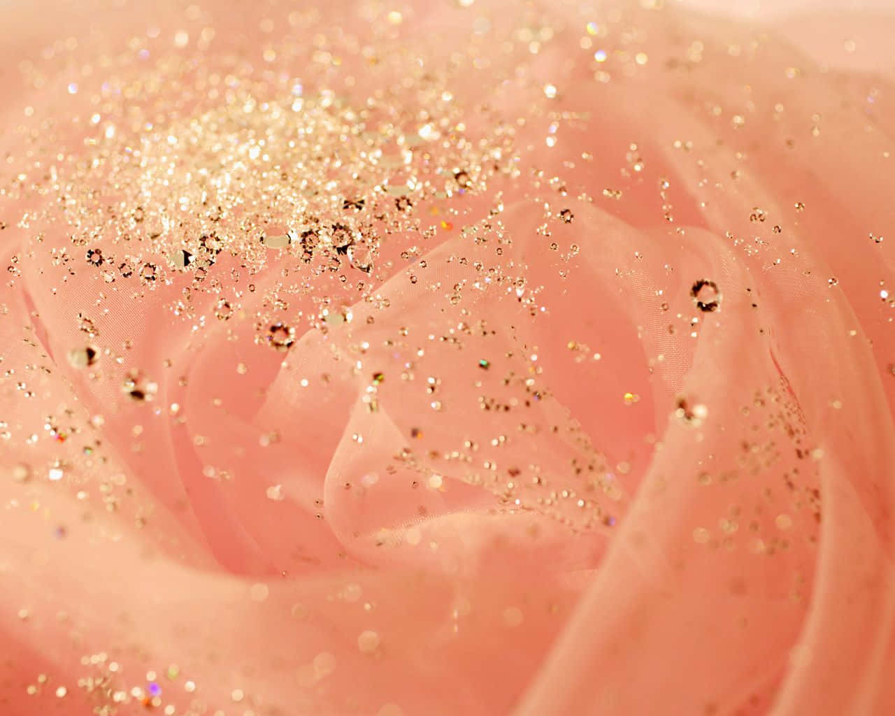 Flower With Rose Gold Glitter Background