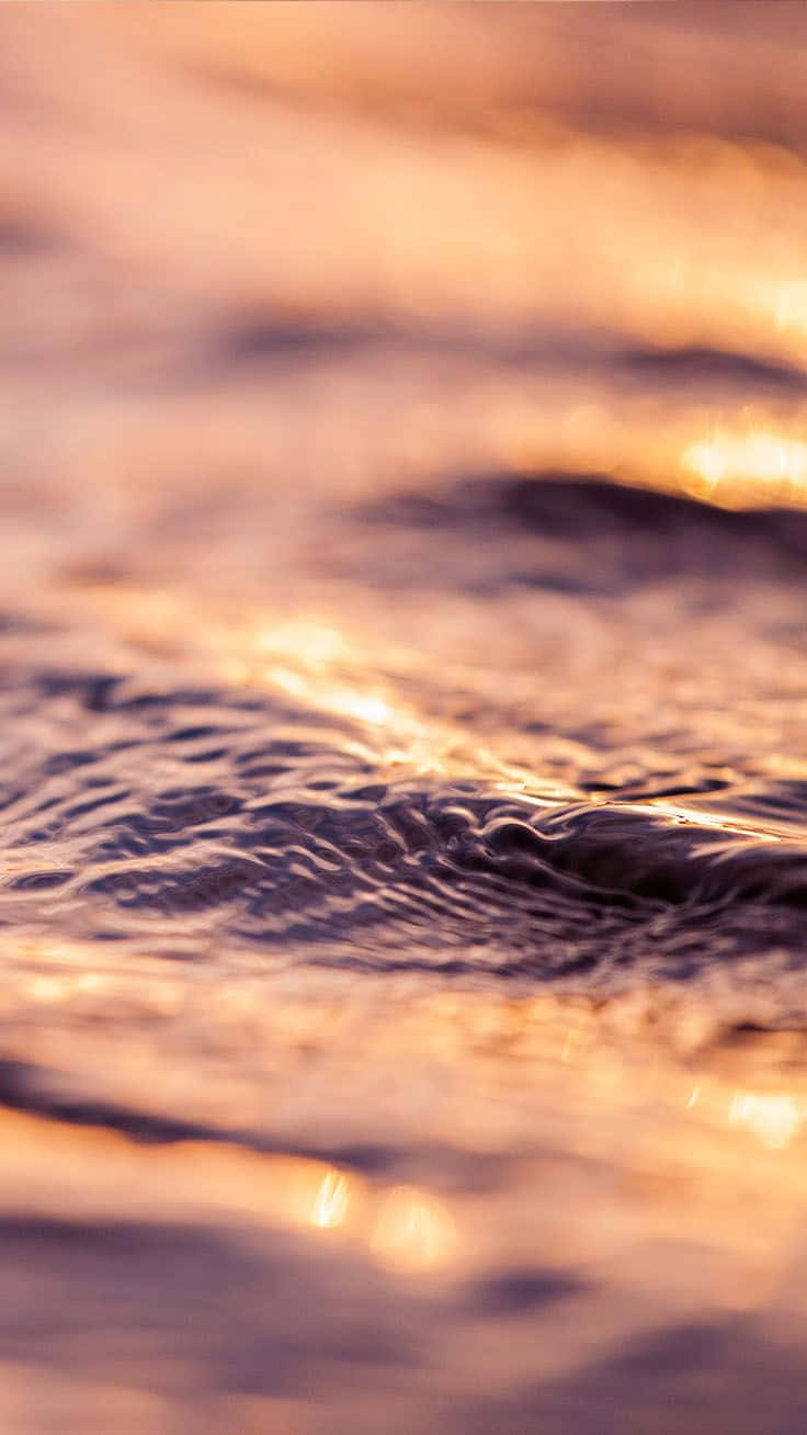 Rose Gold iPhone 5 Water Sunset Wallpaper