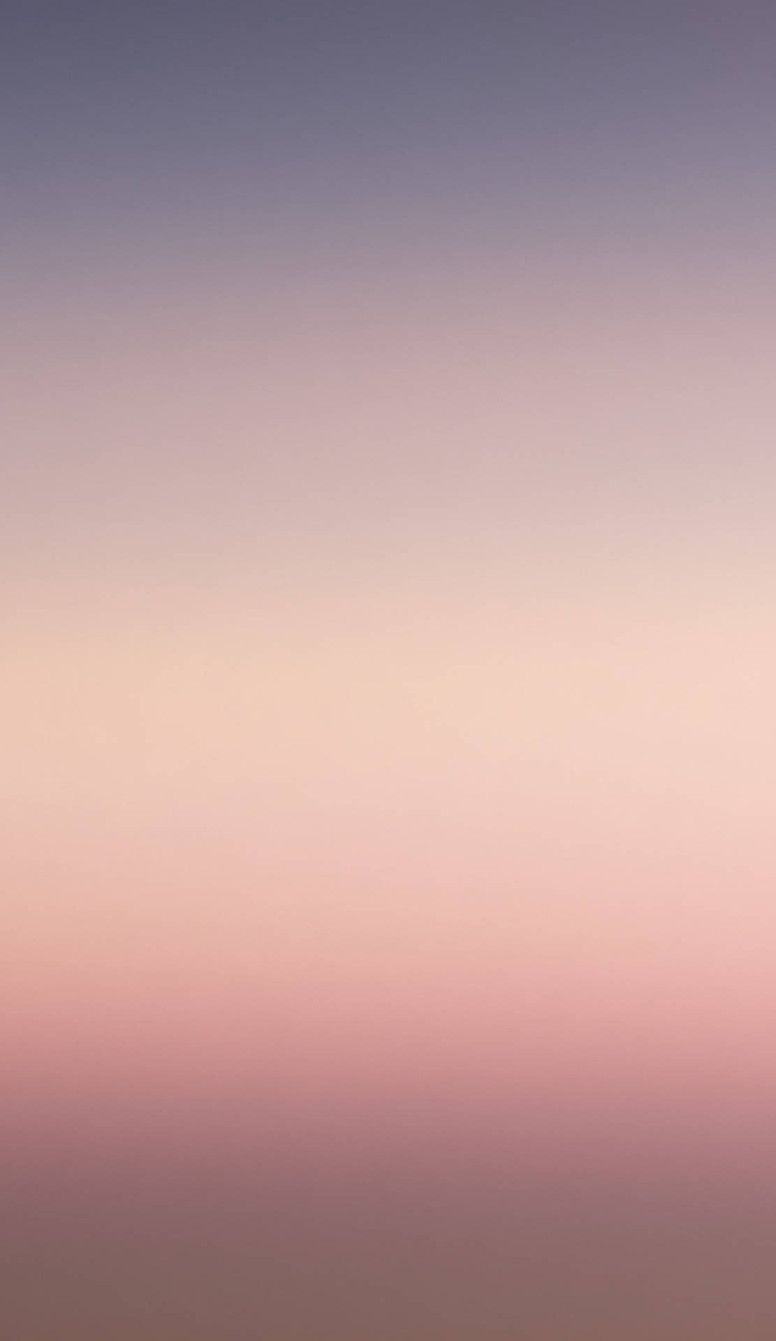 En lyserød og lilla solnedgang med et fly i baggrunden Wallpaper