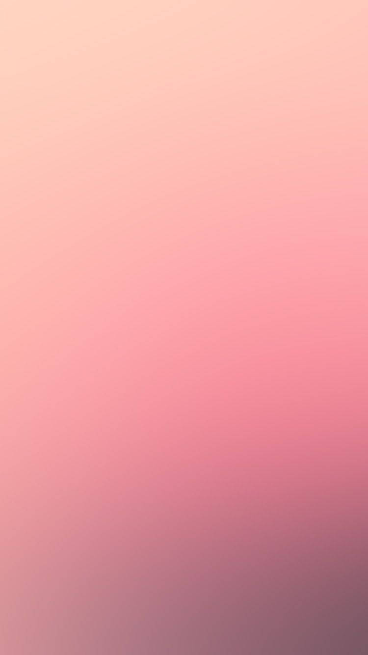 Rosa og lilla gradient Wallpaper