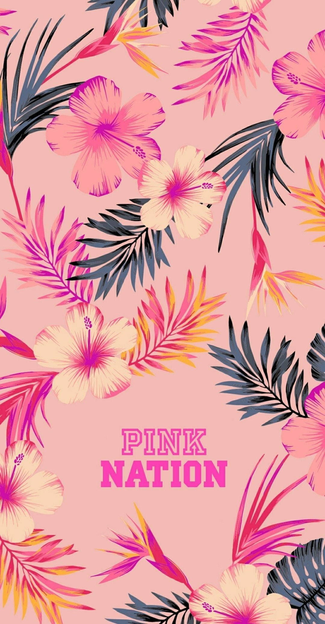 Rose Gold Tumblr Pink Nation Wallpaper