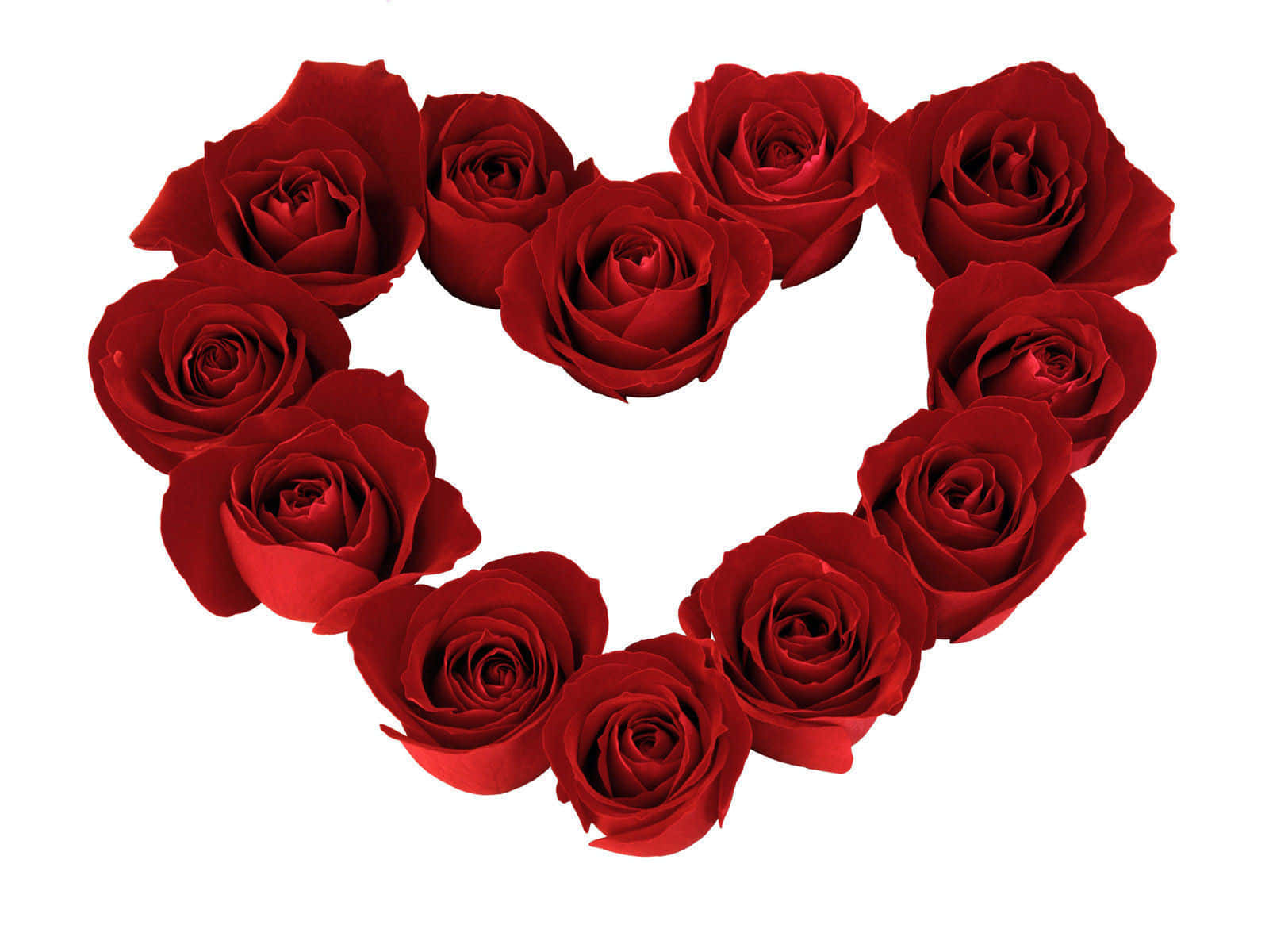 Romantic Rose Heart Wallpaper Wallpaper