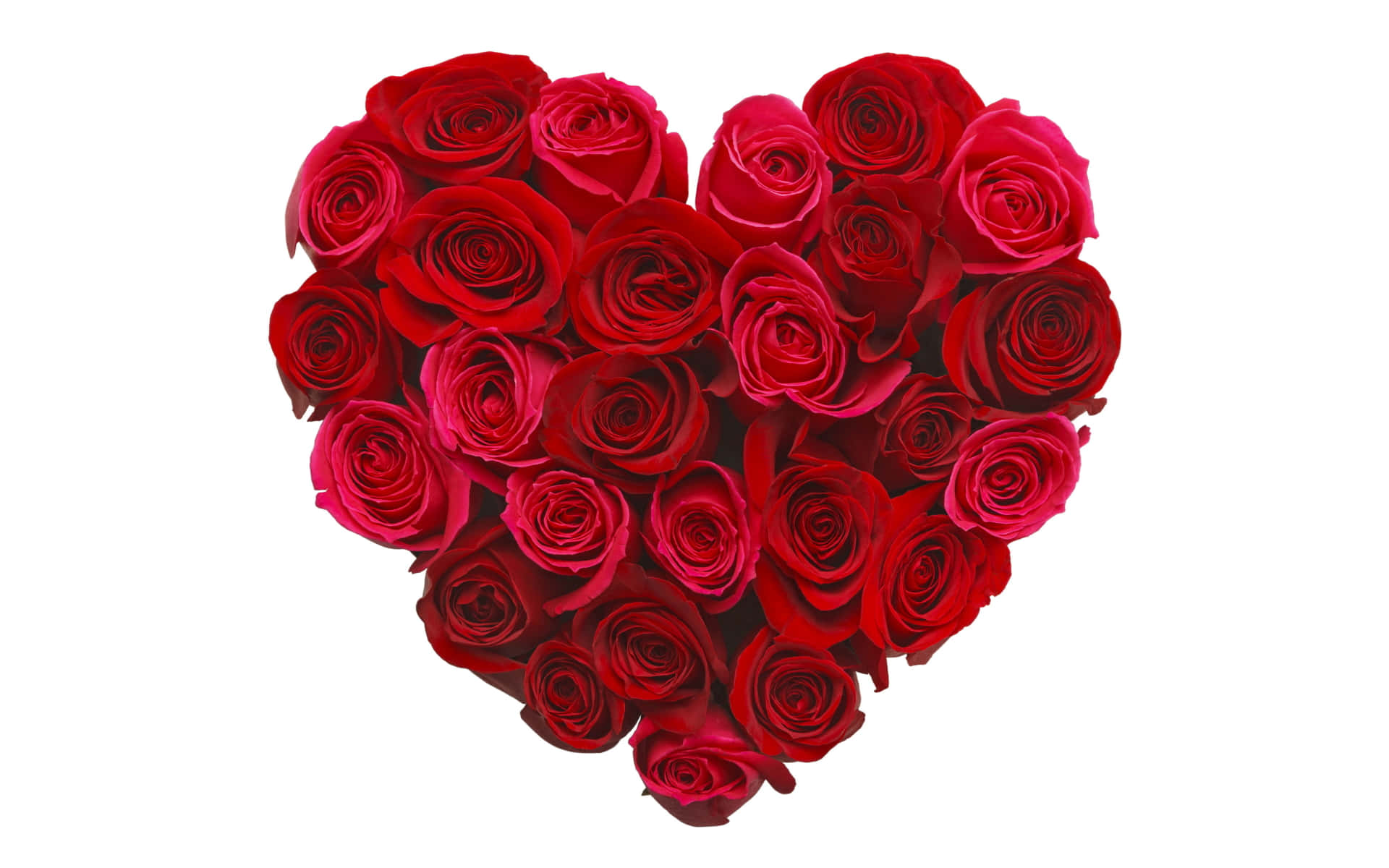 Enchanting Rose Heart Wallpaper