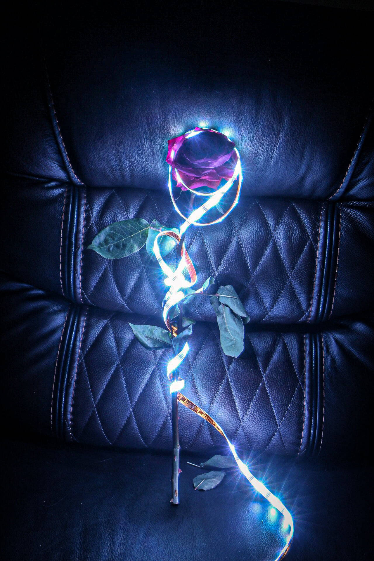 Rose In Neon Aesthetic Iphone Wallpaper