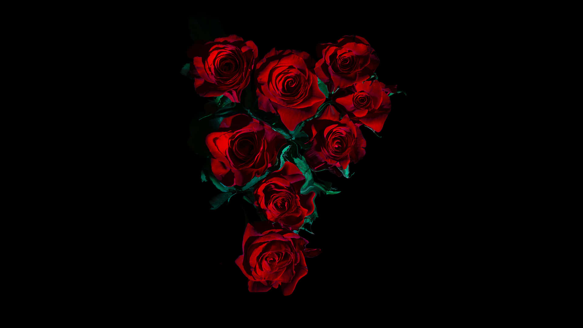 En sort baggrund med røde roser på den Wallpaper