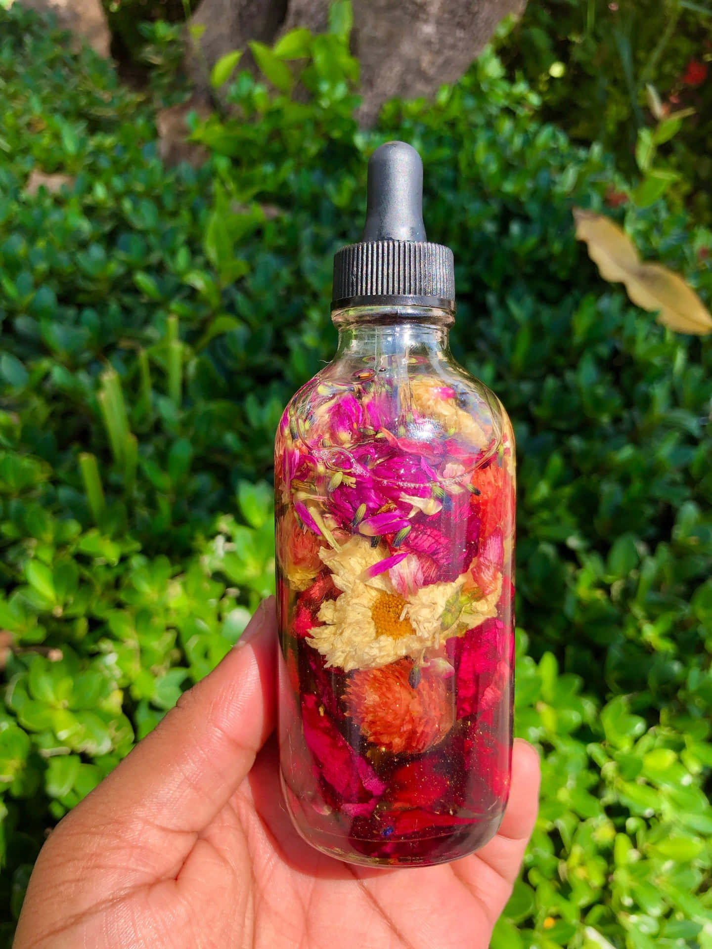 Caption: Elegant Rose Oil in a Transparent Glass Bottle Wallpaper