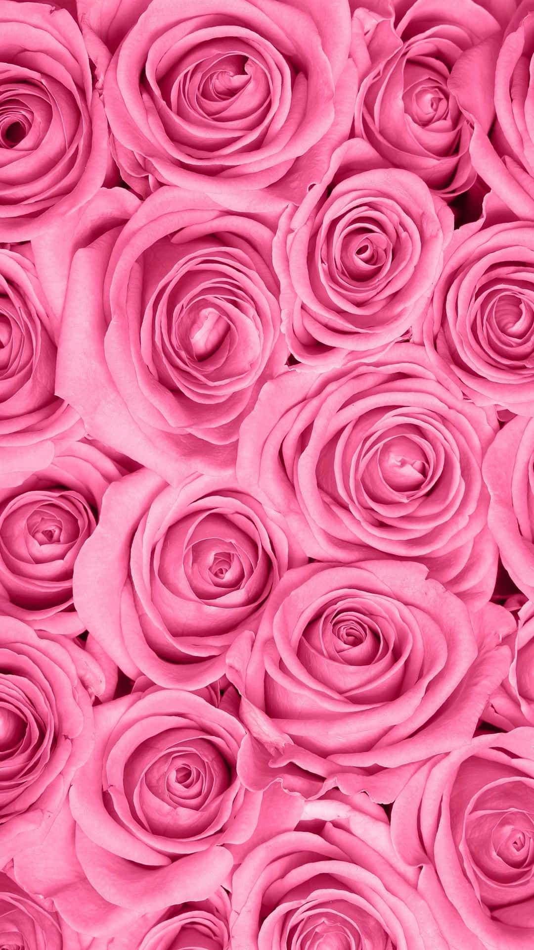 Download Rose Pattern Wallpaper Wallpaper | Wallpapers.com