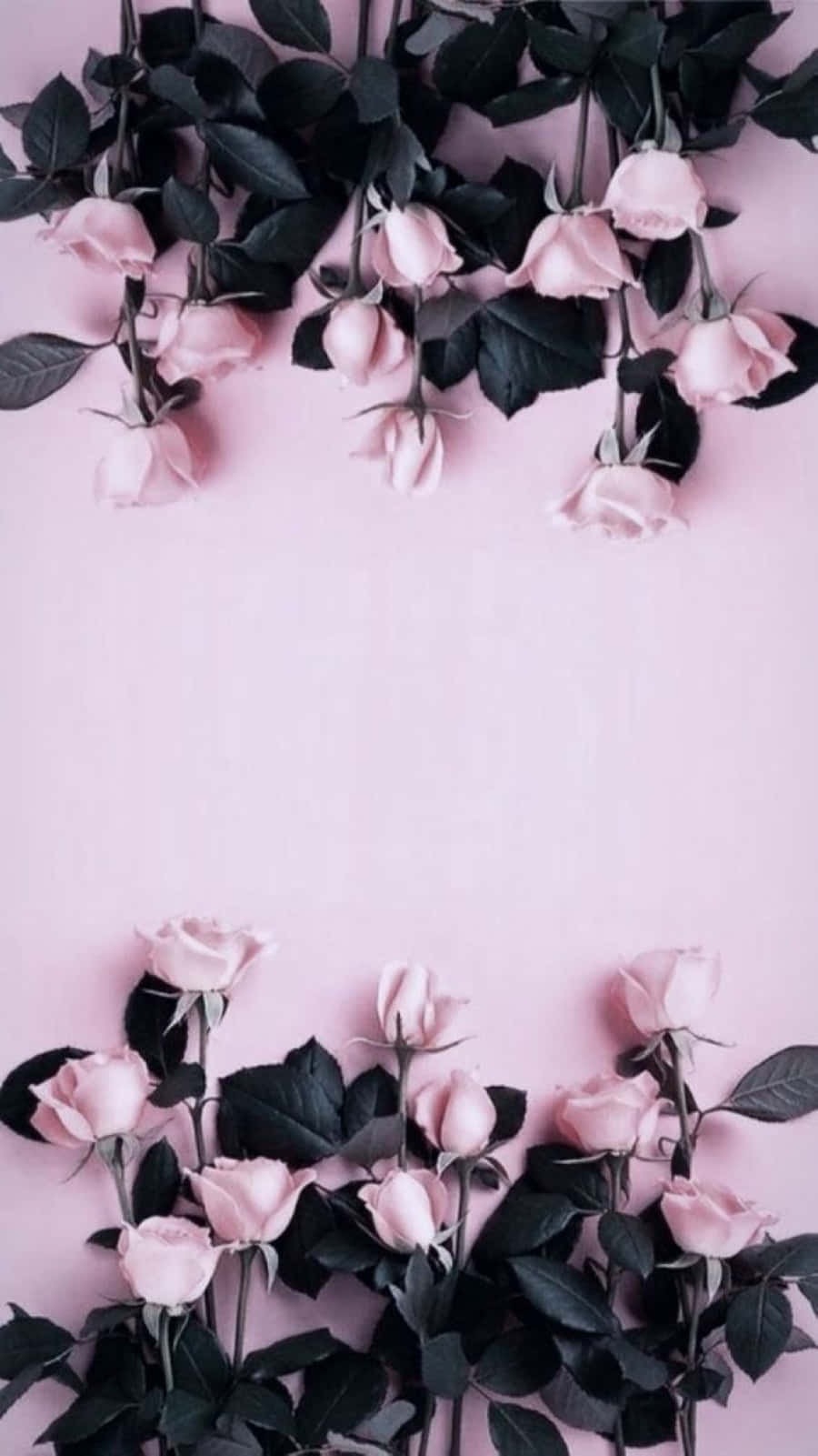 Rose Pattern Wallpaper Wallpaper
