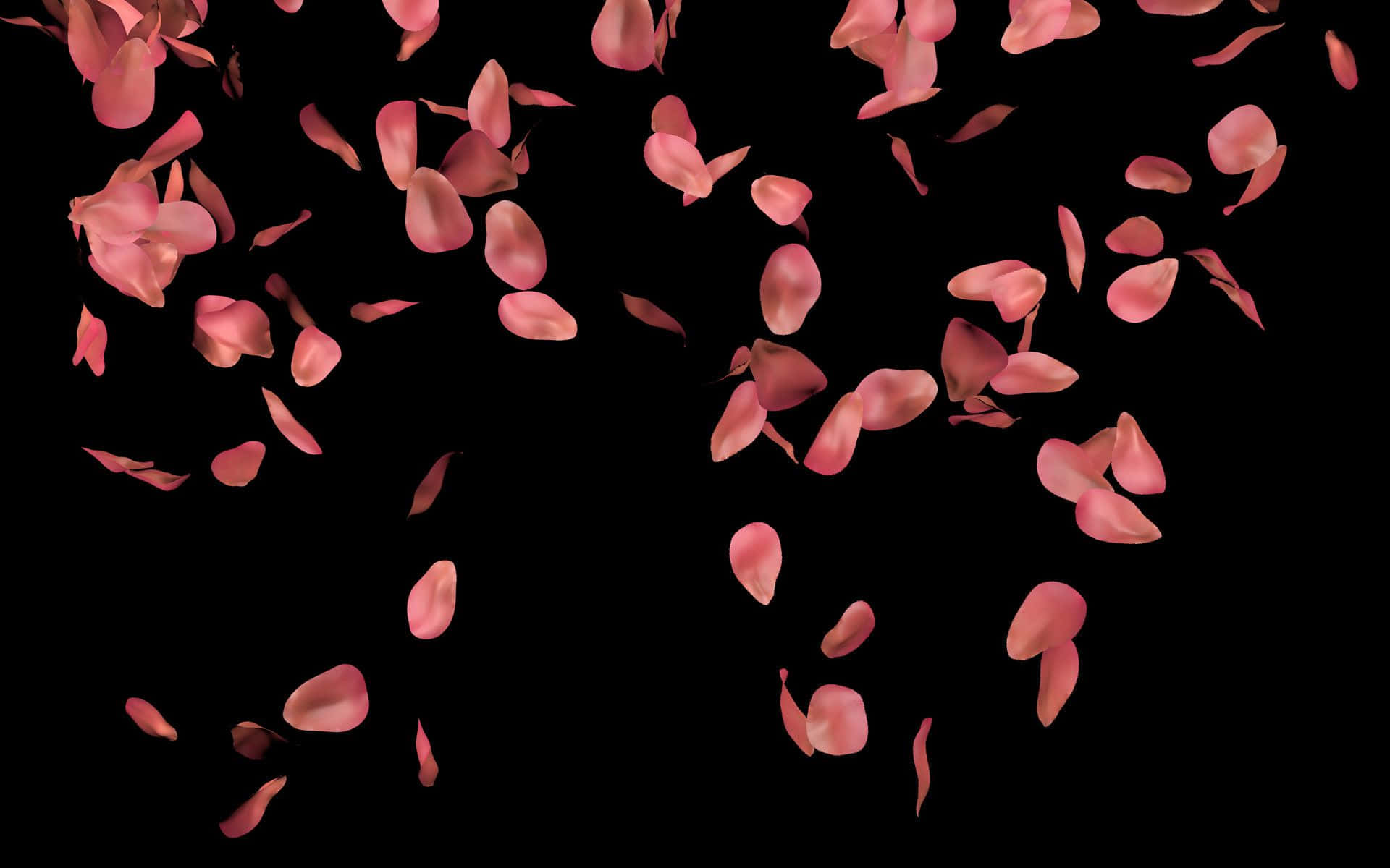 Pétalosde Rosa Roja Radiante En Primer Plano. Fondo de pantalla