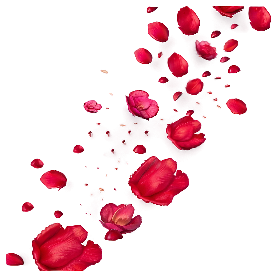 Rose Petals Falling Animation Png 21 PNG