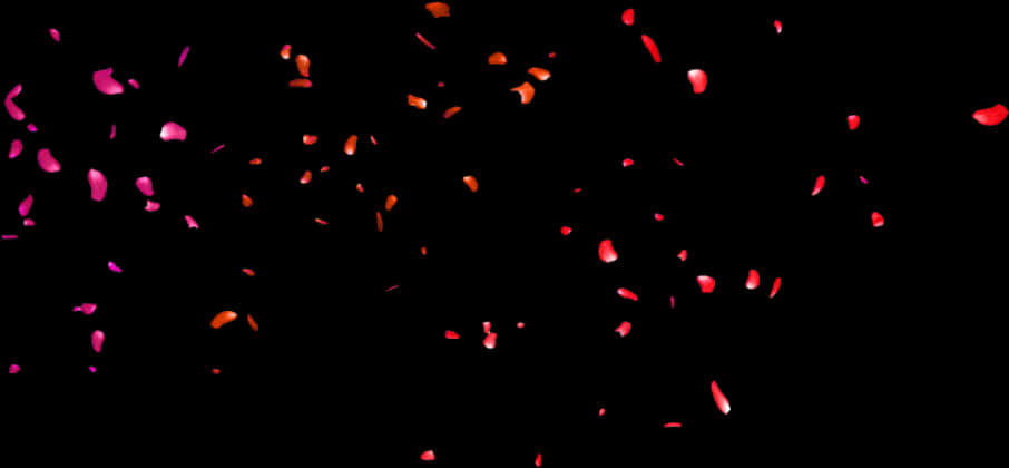 Rose Petals Falling Dark Background PNG