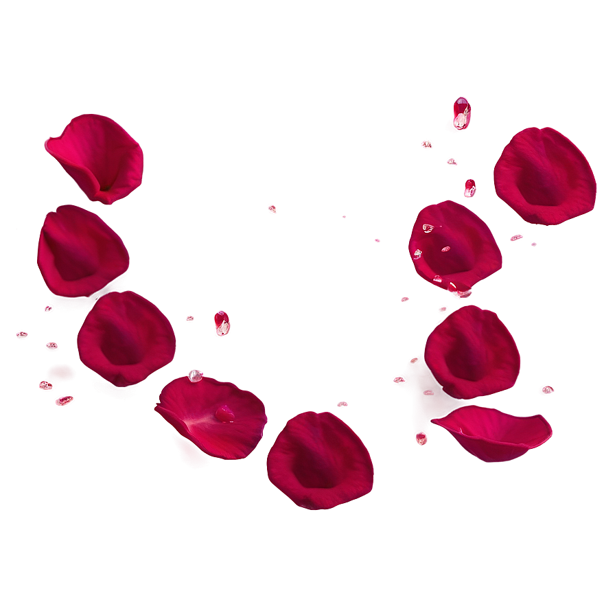 Rose Petals Falling Slow Motion Png 06262024 PNG