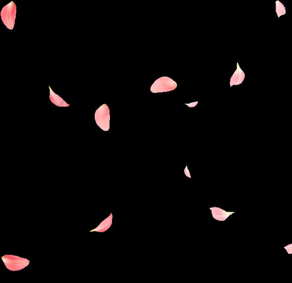 Rose Petals Fallingon Black Background PNG