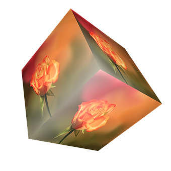 Rose Reflection Cube Art PNG