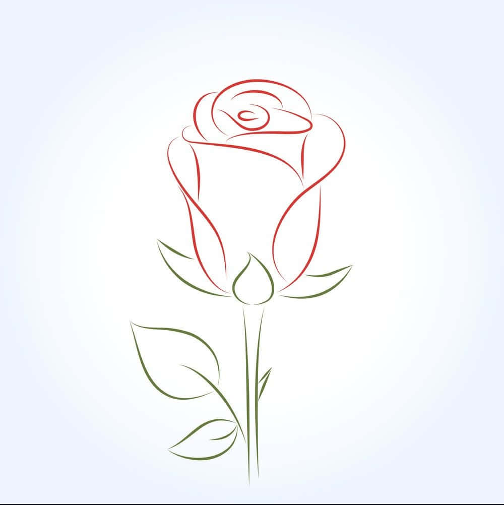 Unahermosa Rosa Roja Que Simboliza El Amor Y El Romance. Fondo de pantalla