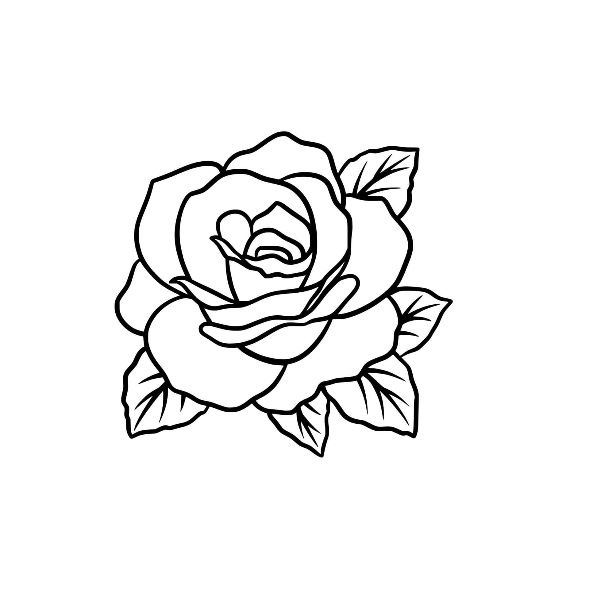 Rose Drawing Small Rose s floribunda flower annual Plant png  PNGWing