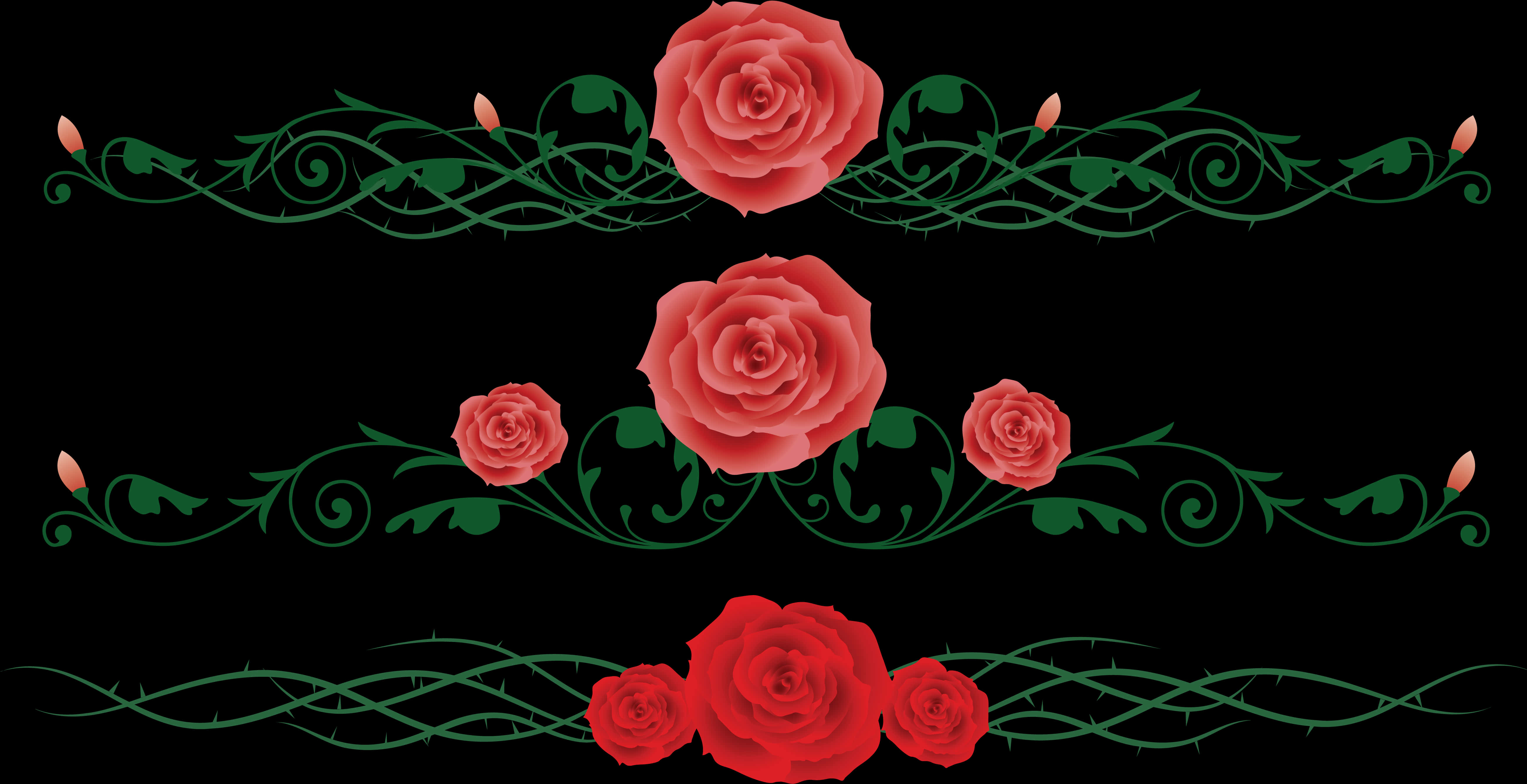 Rose Vine Floral Design PNG