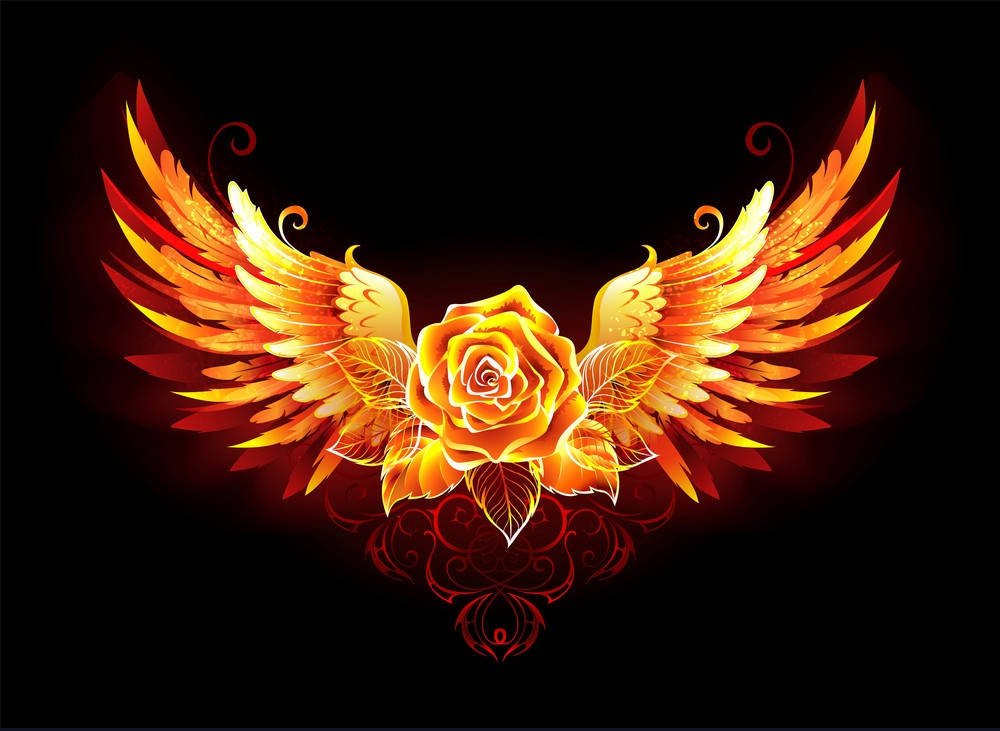 Rose With Fire Wings Wallpaper