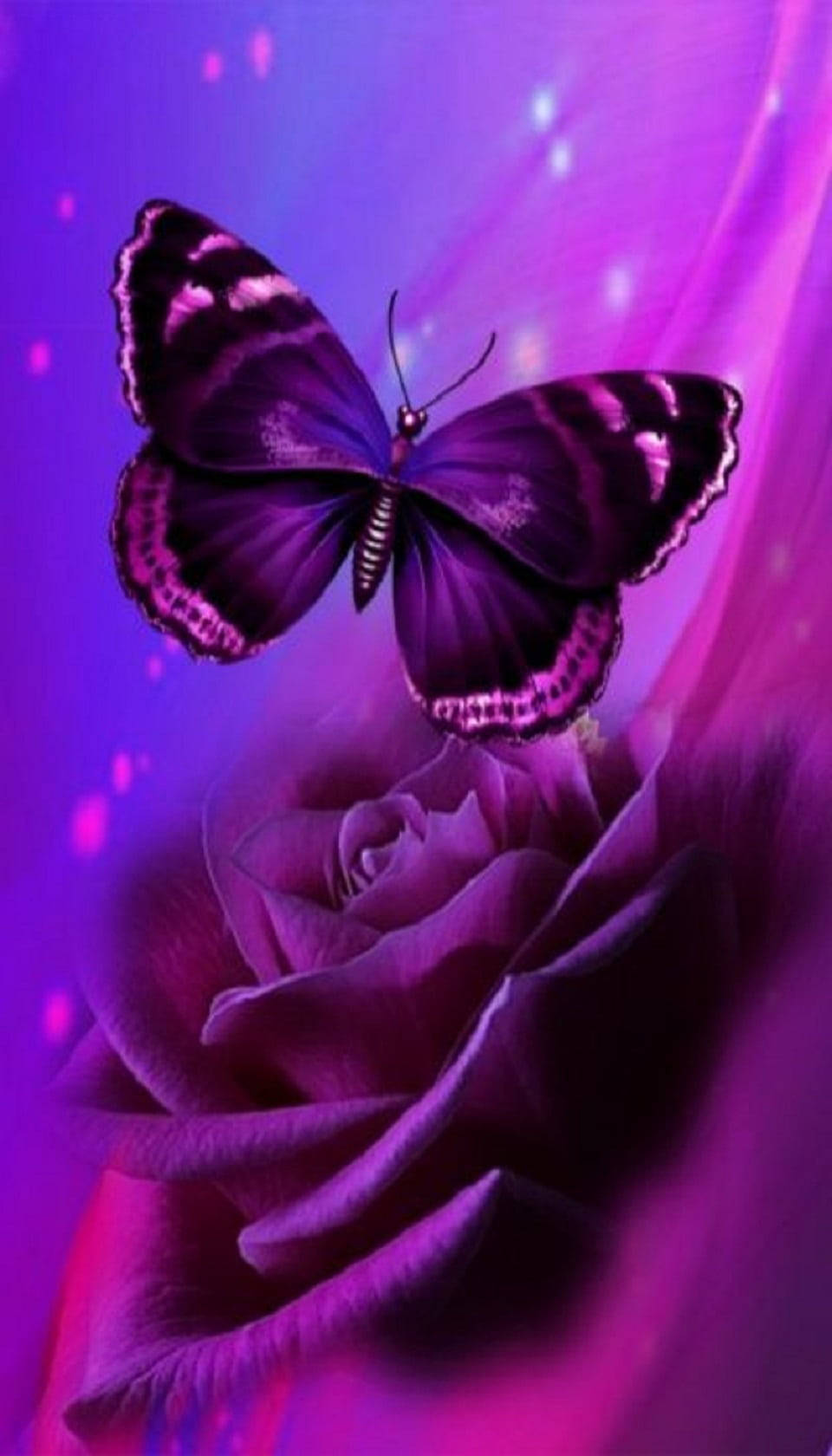 Rose With Purple Butterfly Phone Background Wallpaper