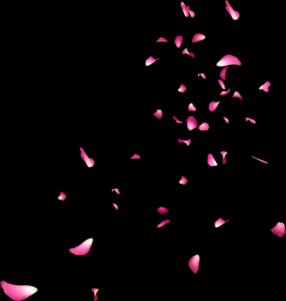 Rose_ Petals_ Falling_ Against_ Black_ Background.jpg PNG