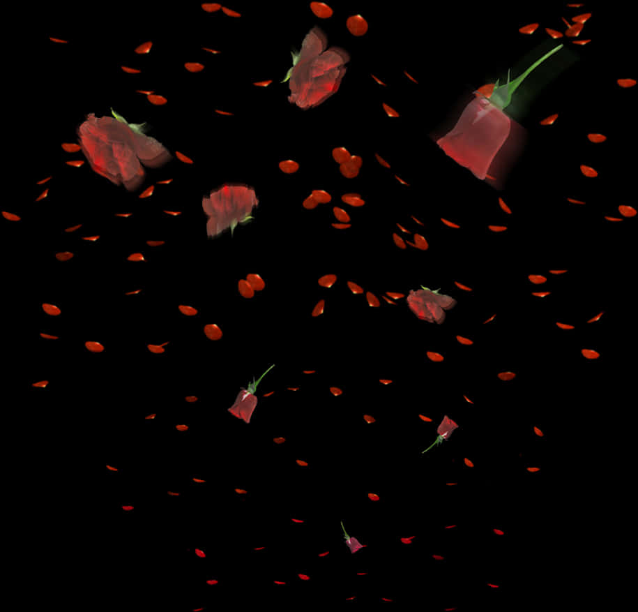 Rose_ Petals_ Falling_in_ Darkness.jpg PNG