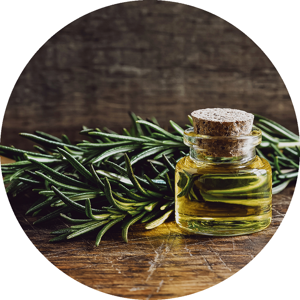 Rosemary Essential Oiland Fresh Herbs PNG