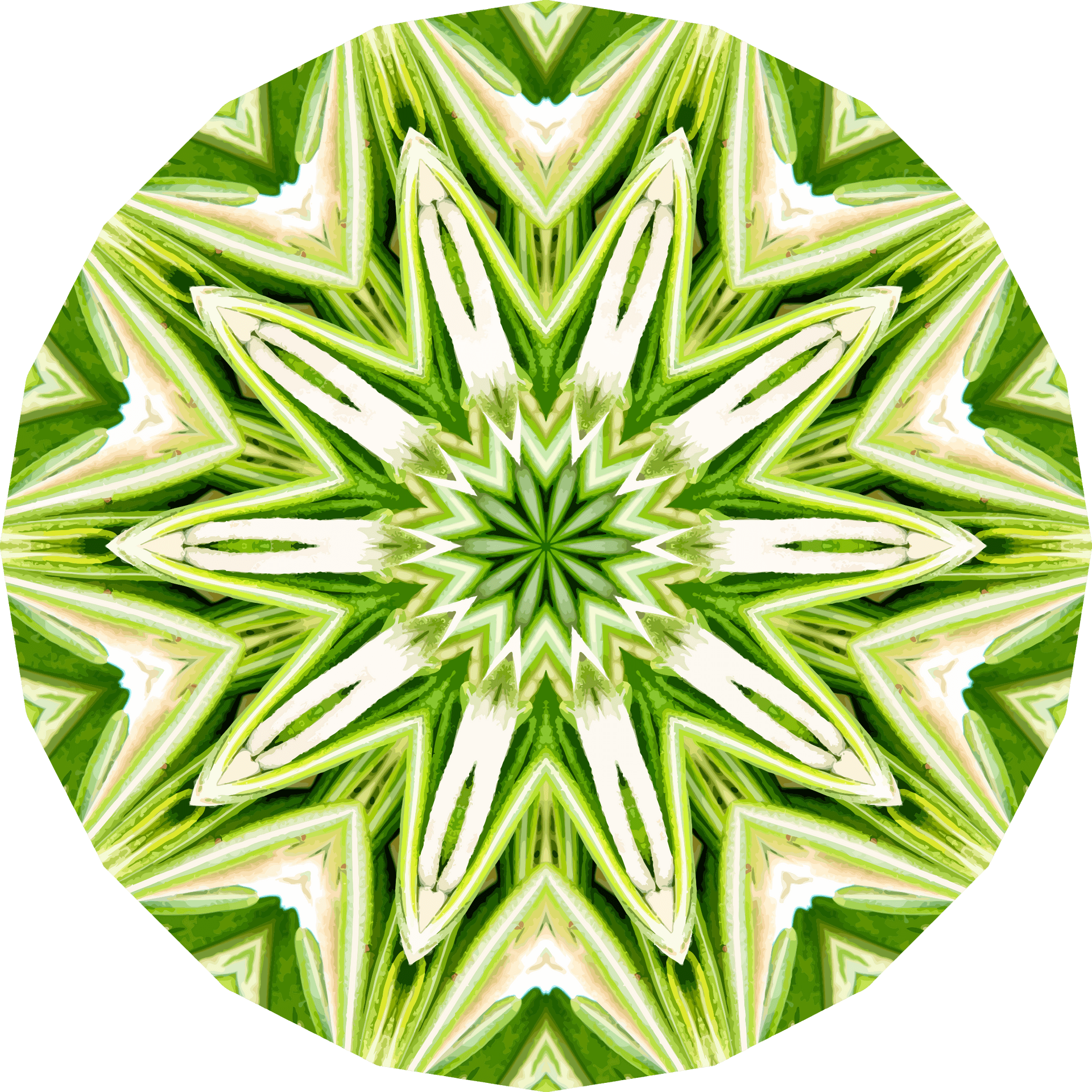 Rosemary Kaleidoscope Pattern PNG