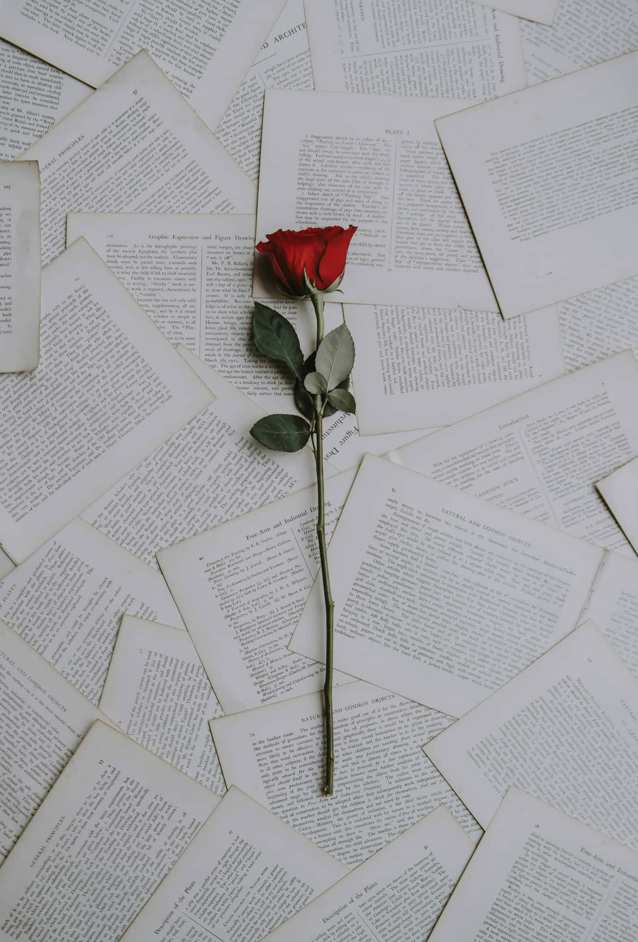 Roseon Love Letters Romantic Aesthetic Wallpaper